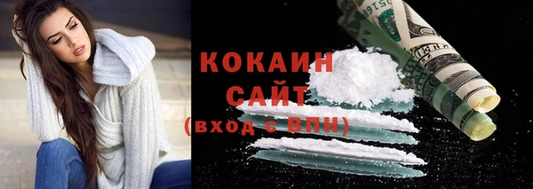 твердый Вяземский