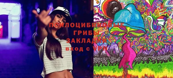 твердый Вяземский
