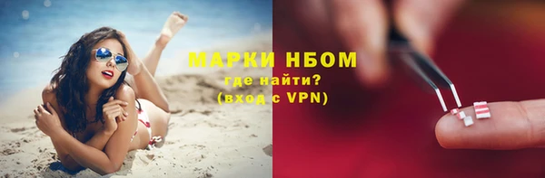 твердый Вяземский