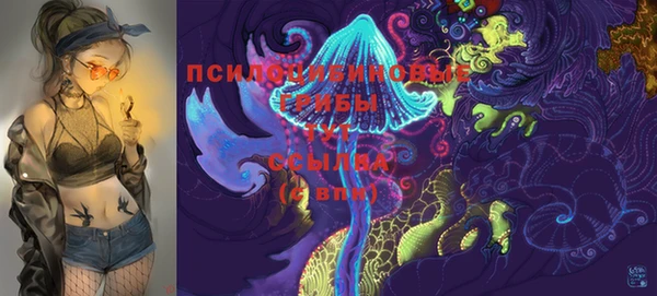 круглые Вязьма