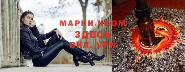 твердый Вяземский