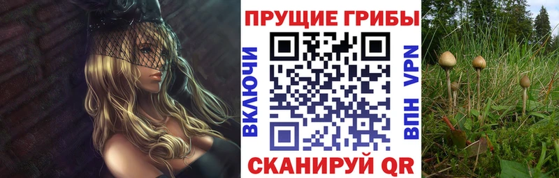 Псилоцибиновые грибы ЛСД  Купить где  Кунгур 